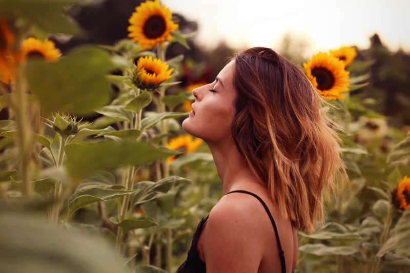 Sonnenblumen Frau